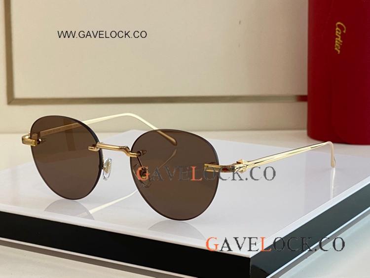 Santos de Cartier ct0331s Glasses Gold Frames
